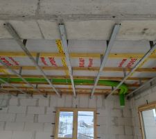 Armature métallique du plafond