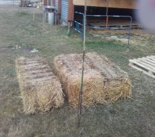 Pose des embrasures : tri de bottes, éliminer celles qui ont souffert du stockage, pour poser des bonnes bottes dans la dalle derrière les baies