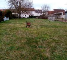 Avant le nettoyage du terrain,