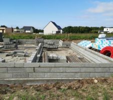 Vide sanitaire en cours