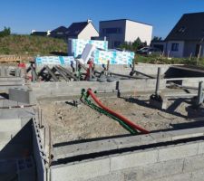 Vide sanitaire en cours