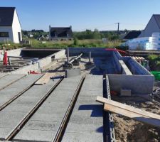 Vide sanitaire en cours