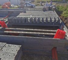 Vide sanitaire en cours