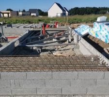 Vide sanitaire en cours