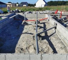 Vide sanitaire en cours