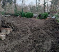 Début préparation chemin d'accès : dessouchage de l'arbre