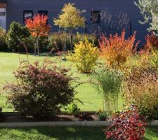 Aaaah !... Que c'est beau en octobre, je ne m'en lasse pas !... (En plus des floraisons, on devrait aussi prévoir quelques couleurs d'automne lorsqu'on crée un jardin, vous ne trouvez pas ?...)