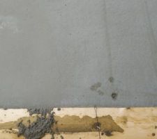 Un chat s est amusé !