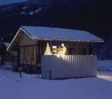 La sapin de No&euml;l 2021, cette ann&eacute;e sous la surveillance d'Adrien, et la guirlande