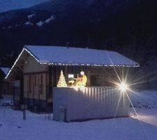 La sapin de Noël 2021, cette année sous la surveillance d'Adrien, et la guirlande