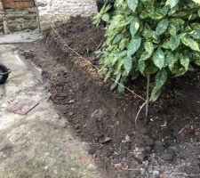 Diminution de la taille de la zone en terre pour être dans l?alignement du mur.