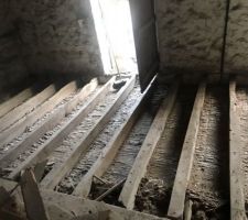 Détail du sol de la future chambre. Les solives sont en bon état.