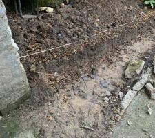 Détails de la réduction de la surface de la terre.