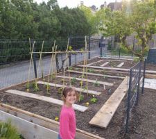 Premières plantations du potager