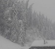 Grosse neige du 10 décembre 2021 : les grands sapins sont courbés, certains ont cassé