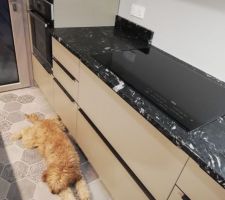 Notre première plaque induction!