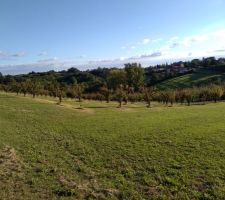 Vu terrain