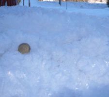 Les gros cristaux de givre à la Bistorte