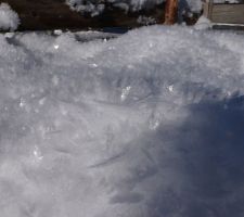 Les gros cristaux de givre à la Bistorte