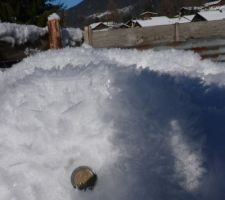 Les gros cristaux de givre à la Bistorte