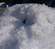 Les gros cristaux de givre à la Bistorte