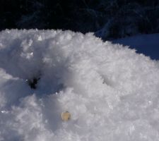 Les gros cristaux de givre à la Bistorte