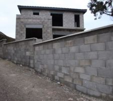 Mur le long de l'all&eacute;e d'acc&egrave;s au garage.