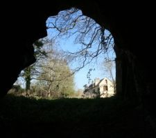Cave troglodytes