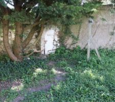 Jardin loft puit