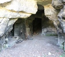 Cave troglodytes