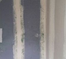 Problème moisissures