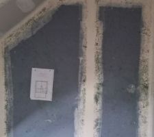 Problème moisissures