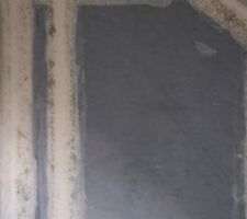 Problème moisissures