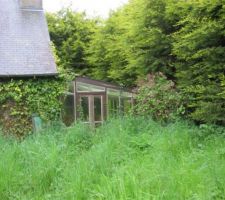 Le depart
Le jardin cote arriere en friche et vous apercevez la "superbe" veranda a droite bordée par une haie aussi belle et bien entretenue de sapin