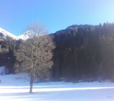 Pas loin de La Bistorte : paysage d'hiver