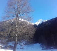 Pas loin de La Bistorte : paysage d'hiver