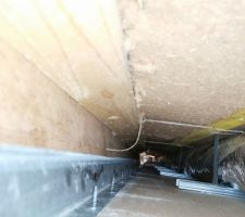 Plenum au plafond bien remplis :)