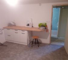Mise en place du meuble et de la cr&eacute;dence pour l'evier de la buanderie.