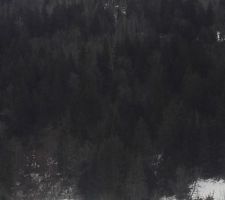 La Bistorte est cachée au pied de la montagne... sauras-tu la trouver ?