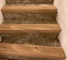 Escalier (idem parquet)