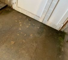 Humidit&eacute; porte de garage au niveau du sol