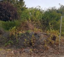 Terrain en friche et r&eacute;alisation de l'acc&egrave;s chantier