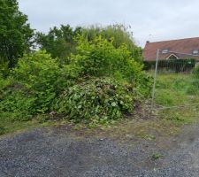 Terrain en friche et r&eacute;alisation de l'acc&egrave;s chantier