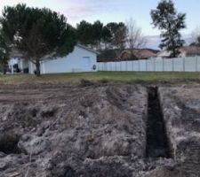 Fouille de la maison 4