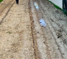 Notre chemin d'accès,( provisoire ?) Non décaissé avant calcaire, qui prend déjà un peu l'eau. Espérons qu'il sera décaissé avant empierrement calcaire final...