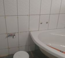 Pose de la faïence.