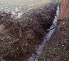 Curage du fossé qui n'avait pas été fait depuis... 
L'eau, s'est mise à couler pendant une bonne journée... notre terrain à commencer à respirer de nouveau et maintenant ça coule tout seul.