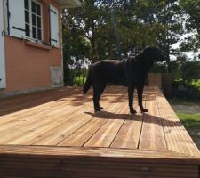 Création de la terrasse bois
Au moins ça plait au chien :-)