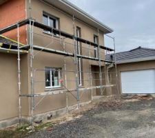 Crépis Gibraltar 757 j?adore j?adore