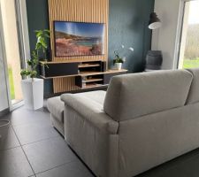 Création meuble salon